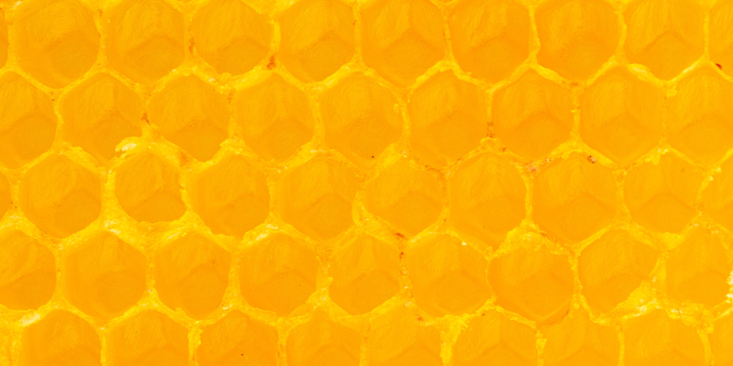 Beeswax