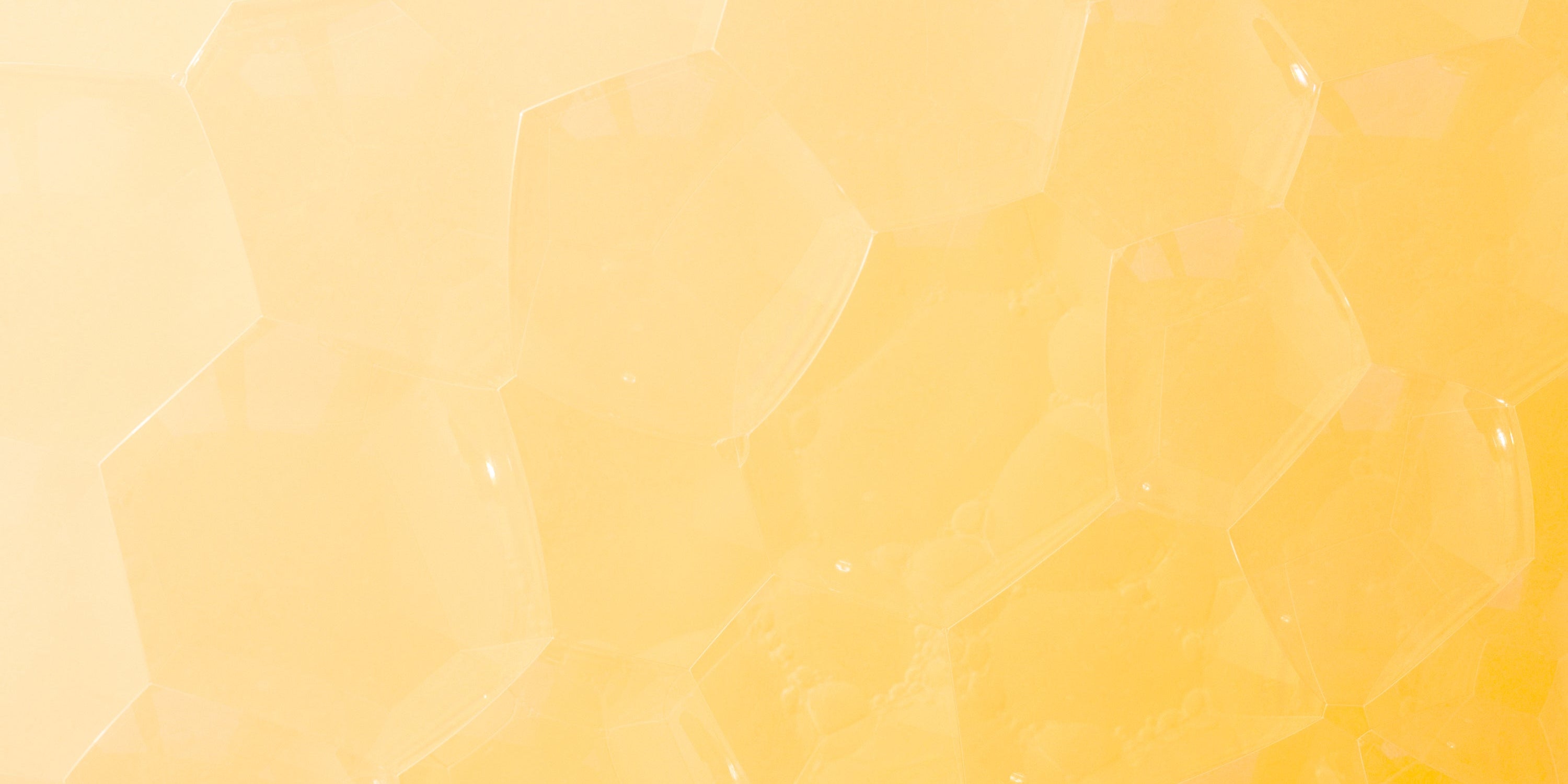 Candelilla Wax