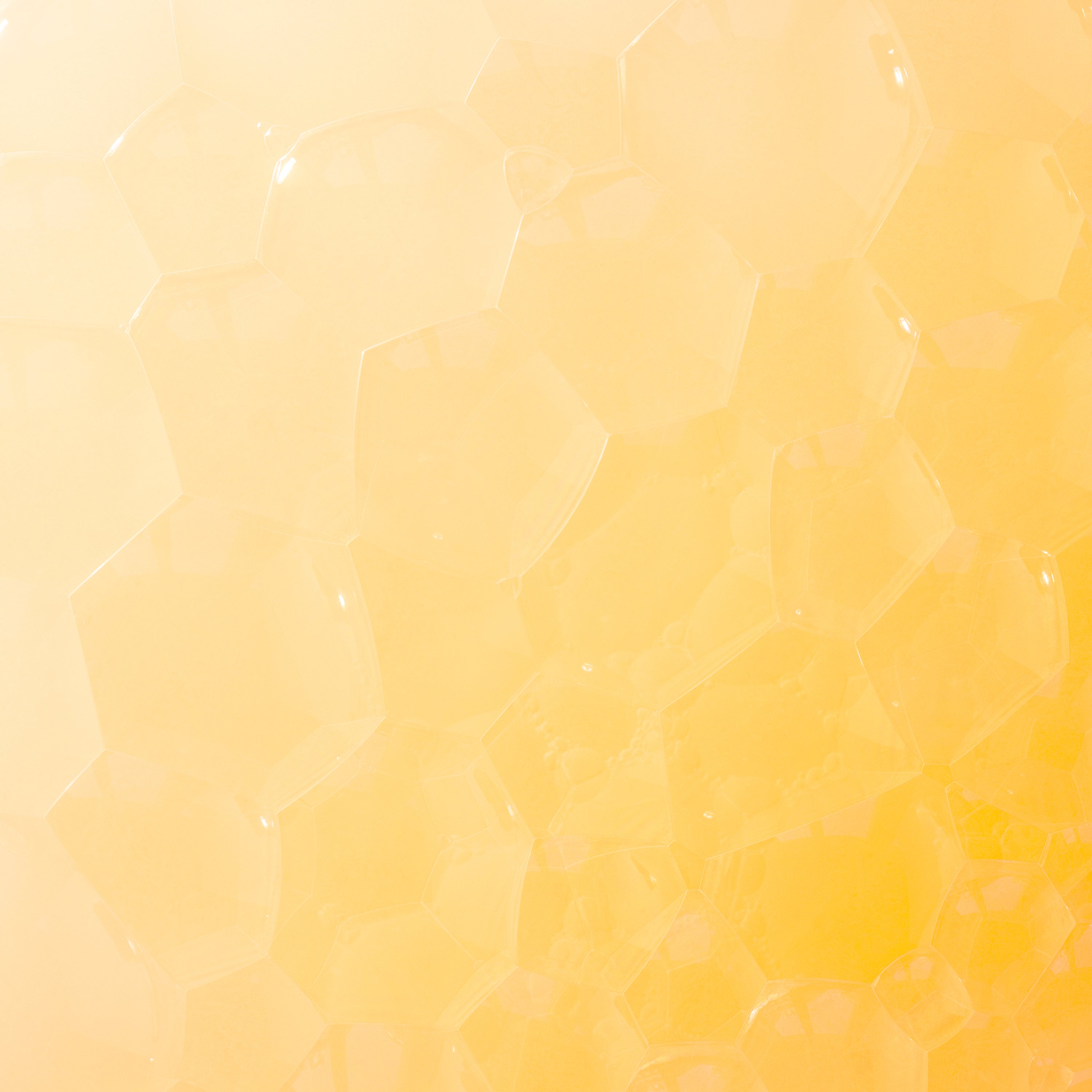 Candelilla Wax
