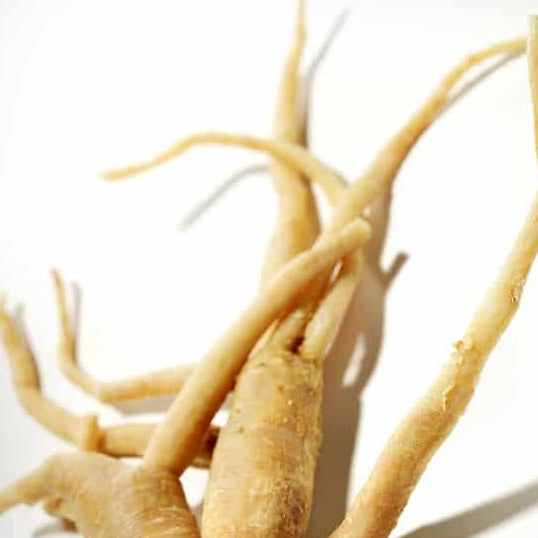 Ginseng Root Extract 